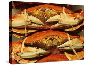 Dungeness Crab at Pike Place Public Market, Seattle, Washington State, USA-David Barnes-Stretched Canvas