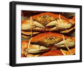 Dungeness Crab at Pike Place Public Market, Seattle, Washington State, USA-David Barnes-Framed Photographic Print