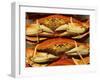 Dungeness Crab at Pike Place Public Market, Seattle, Washington State, USA-David Barnes-Framed Photographic Print