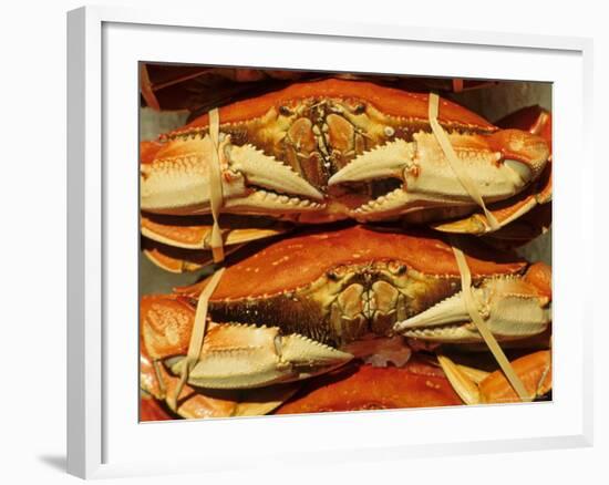 Dungeness Crab at Pike Place Public Market, Seattle, Washington State, USA-David Barnes-Framed Photographic Print