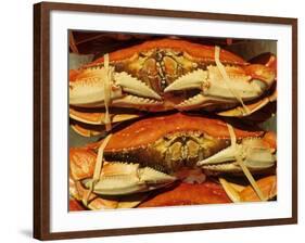 Dungeness Crab at Pike Place Public Market, Seattle, Washington State, USA-David Barnes-Framed Photographic Print