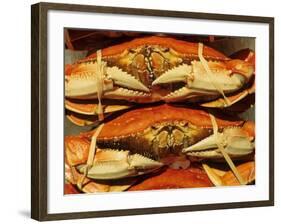 Dungeness Crab at Pike Place Public Market, Seattle, Washington State, USA-David Barnes-Framed Photographic Print