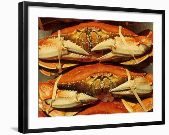 Dungeness Crab at Pike Place Public Market, Seattle, Washington State, USA-David Barnes-Framed Photographic Print