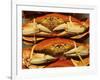 Dungeness Crab at Pike Place Public Market, Seattle, Washington State, USA-David Barnes-Framed Photographic Print