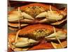 Dungeness Crab at Pike Place Public Market, Seattle, Washington State, USA-David Barnes-Mounted Photographic Print