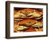 Dungeness Crab at Pike Place Public Market, Seattle, Washington State, USA-David Barnes-Framed Photographic Print