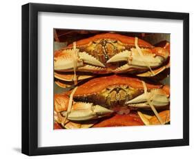 Dungeness Crab at Pike Place Public Market, Seattle, Washington State, USA-David Barnes-Framed Photographic Print