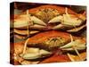 Dungeness Crab at Pike Place Public Market, Seattle, Washington State, USA-David Barnes-Stretched Canvas