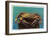 Dungeness Crab on Hood Canal - Hood Canal, WA-Lantern Press-Framed Art Print