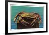 Dungeness Crab on Hood Canal - Hood Canal, WA-Lantern Press-Framed Premium Giclee Print