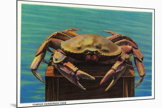 Dungeness Crab on Hood Canal - Hood Canal, WA-Lantern Press-Mounted Premium Giclee Print