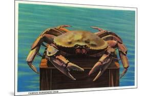 Dungeness Crab on Hood Canal - Hood Canal, WA-Lantern Press-Mounted Premium Giclee Print