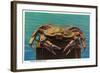 Dungeness Crab on Hood Canal - Hood Canal, WA-Lantern Press-Framed Art Print