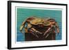 Dungeness Crab on Hood Canal - Hood Canal, WA-Lantern Press-Framed Art Print