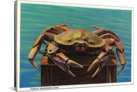 Dungeness Crab on Hood Canal - Hood Canal, WA-Lantern Press-Stretched Canvas