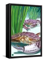 Dungeness Crab-Lantern Press-Framed Stretched Canvas