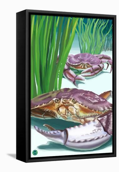 Dungeness Crab-Lantern Press-Framed Stretched Canvas
