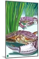 Dungeness Crab-Lantern Press-Mounted Art Print
