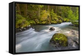 Dungeness River, Buckhorn Wilderness, Olympic NF, Washington, USA-Gary Luhm-Framed Stretched Canvas