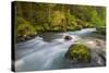 Dungeness River, Buckhorn Wilderness, Olympic NF, Washington, USA-Gary Luhm-Stretched Canvas