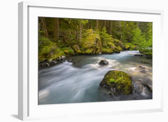 Dungeness River, Buckhorn Wilderness, Olympic NF, Washington, USA-Gary Luhm-Framed Photographic Print