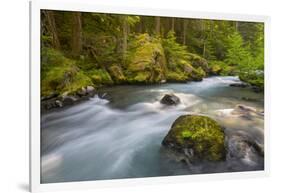 Dungeness River, Buckhorn Wilderness, Olympic NF, Washington, USA-Gary Luhm-Framed Photographic Print