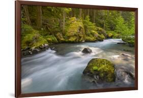 Dungeness River, Buckhorn Wilderness, Olympic NF, Washington, USA-Gary Luhm-Framed Photographic Print