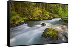Dungeness River, Buckhorn Wilderness, Olympic NF, Washington, USA-Gary Luhm-Framed Stretched Canvas