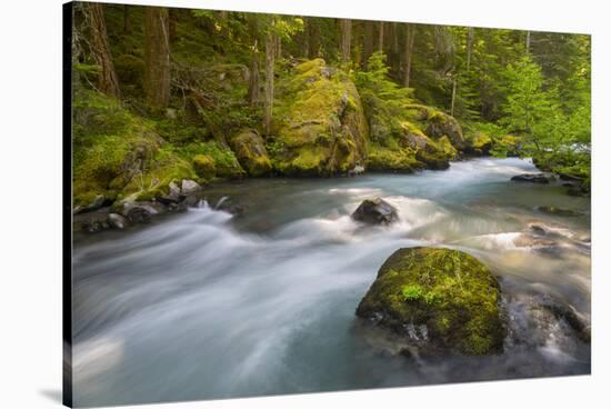 Dungeness River, Buckhorn Wilderness, Olympic NF, Washington, USA-Gary Luhm-Stretched Canvas