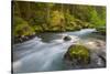 Dungeness River, Buckhorn Wilderness, Olympic NF, Washington, USA-Gary Luhm-Stretched Canvas