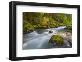 Dungeness River, Buckhorn Wilderness, Olympic NF, Washington, USA-Gary Luhm-Framed Photographic Print
