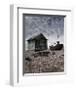 Dungeness-Gill Copeland-Framed Giclee Print