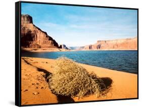 Dungeon Canyon, Lake Powell-James Denk-Framed Stretched Canvas