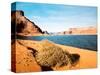 Dungeon Canyon, Lake Powell-James Denk-Stretched Canvas