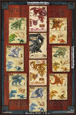 Dungeons And Dragons Dragon Grid Posters Allposters Com