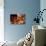 Dungeons and Dragons - TIAMAT-Trends International-Stretched Canvas displayed on a wall