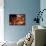 Dungeons and Dragons - TIAMAT-Trends International-Framed Stretched Canvas displayed on a wall
