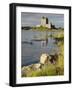 Dunguaire (Dungory) Castle, Kinvarra, County Galway, Connacht, Republic of Ireland-Gary Cook-Framed Photographic Print