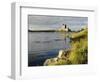 Dunguaire (Dungory) Castle, Kinvarra, County Galway, Connacht, Republic of Ireland-Gary Cook-Framed Photographic Print