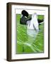 Dunking Ducks-The Saturday Evening Post-Framed Giclee Print