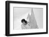 Dunkle Oasen 11, 2015-Jaschi Klein-Framed Photographic Print