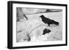 Dunkle Oasen 9, 2015-Jaschi Klein-Framed Photographic Print