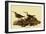 Dunlins-John James Audubon-Framed Giclee Print