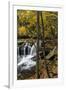 Dunlop Creek Falls in Fayette County, West Virginia, USA-Chuck Haney-Framed Photographic Print