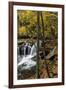 Dunlop Creek Falls in Fayette County, West Virginia, USA-Chuck Haney-Framed Photographic Print
