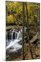 Dunlop Creek Falls in Fayette County, West Virginia, USA-Chuck Haney-Mounted Photographic Print