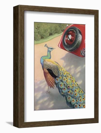 Dunlop Tyre Advertisement Featuring a Peacock-null-Framed Photographic Print