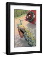 Dunlop Tyre Advertisement Featuring a Peacock-null-Framed Photographic Print