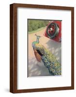 Dunlop Tyre Advertisement Featuring a Peacock-null-Framed Photographic Print