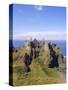 Dunluce Castle, County Antrim, Northern Ireland, UK, Europe-Charles Bowman-Stretched Canvas